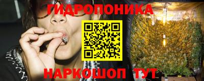 2c-b Новозыбков