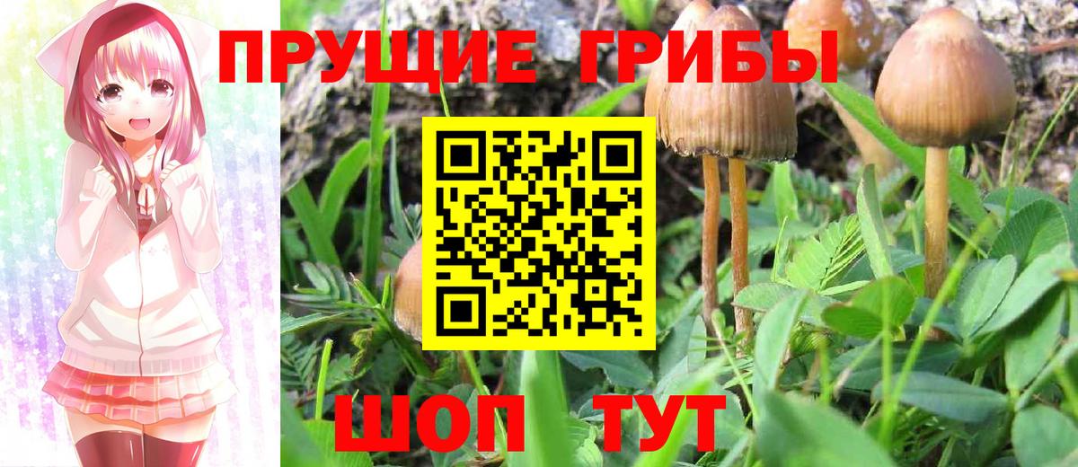 Учалы  Галлюциногенные грибы Psilocybe  Вход с VPN  закладки  Галлюциногенные грибы мухоморы 